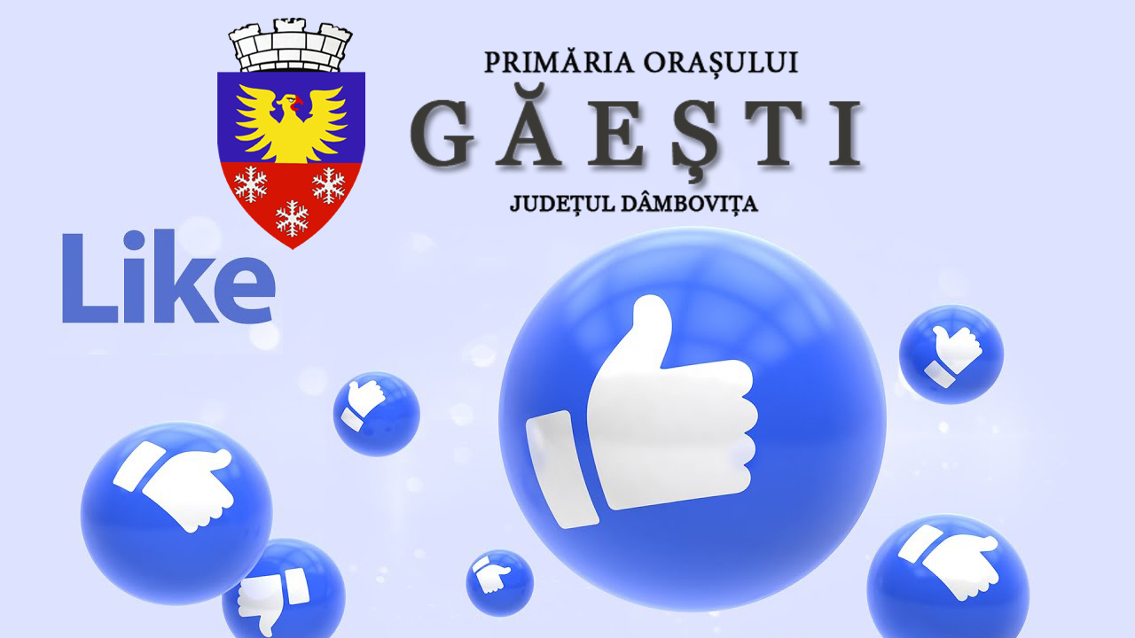 facebook primaria gaesti